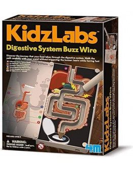 Digestive System Buzz Wire Kit