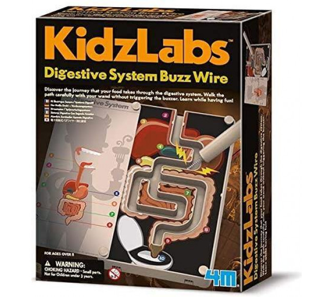 Digestive System Buzz Wire Kit Science Experiment Kits