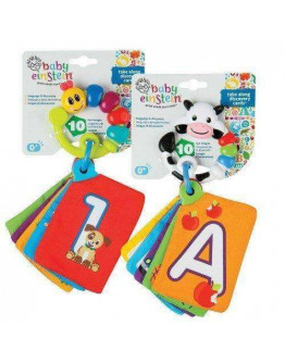 Baby Einstein Take Along Discovery Cards